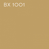 BX 1001