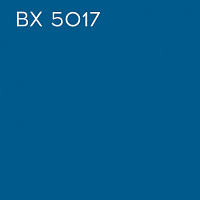 BX 5017