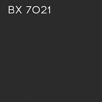BX 7021