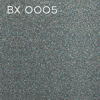 BX 0005