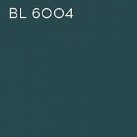 BL 6004
