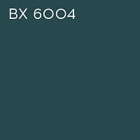 BX 6004