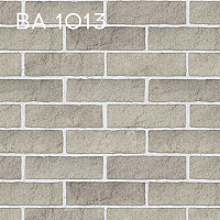 BA 1013