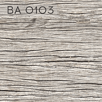 BA 0103