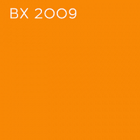 BX 2009
