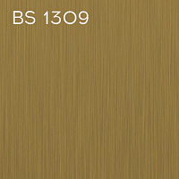 BS 1309