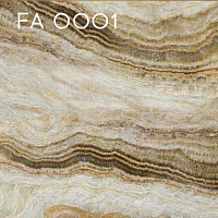 FA 0001