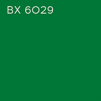 BX 6029