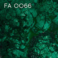 FA 0066