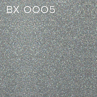 BX 0005