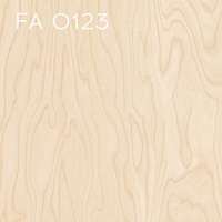 FA 0123