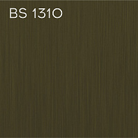BS 1310
