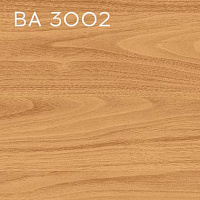 BA 3002