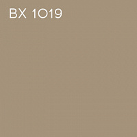 BX 1019