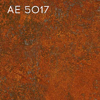 AE 5017