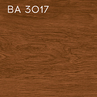 BA 3017