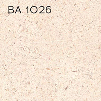 BA 1026