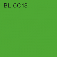 BL 6018