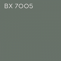 BX 7005