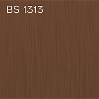BS 1313