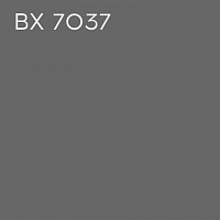 BX 7037