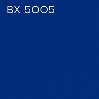 BX 5005