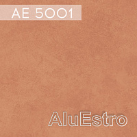 AE 5001