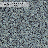 FA 0011