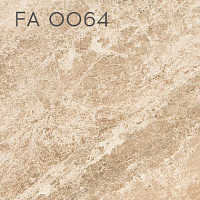FA 0063