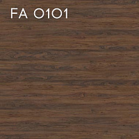 FA 0101