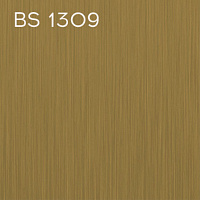BS 1309