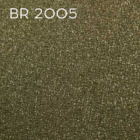 BR 2005