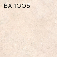 ВА 1005