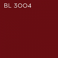 BX 3004