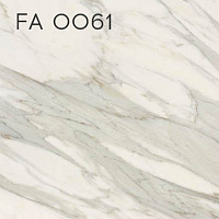 FA 0061