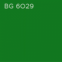 BG 6029