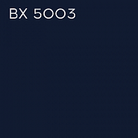 BX 5003
