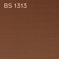 BS 1313