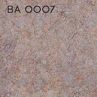 BA 0007