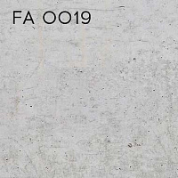 FA 0019