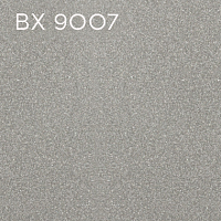 BX 9007