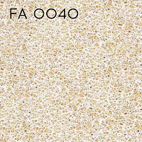 FA 0040