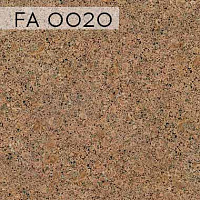 FA 0020