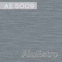 AE 5009