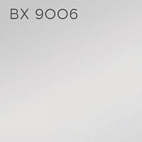 BX 9006