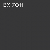 BX 7011