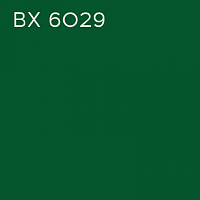 BX 6029