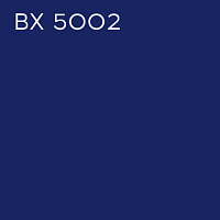 BX 5002