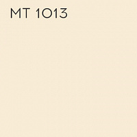 MT 1013