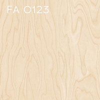 FA 0123